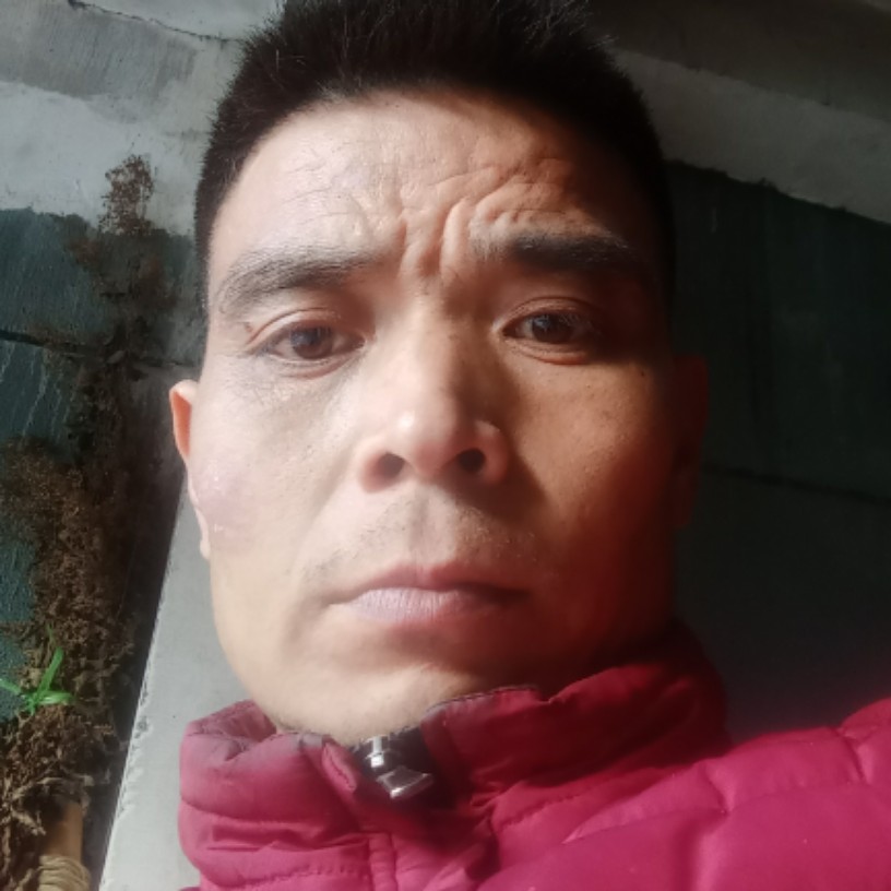 裙子漫步清秀的照片