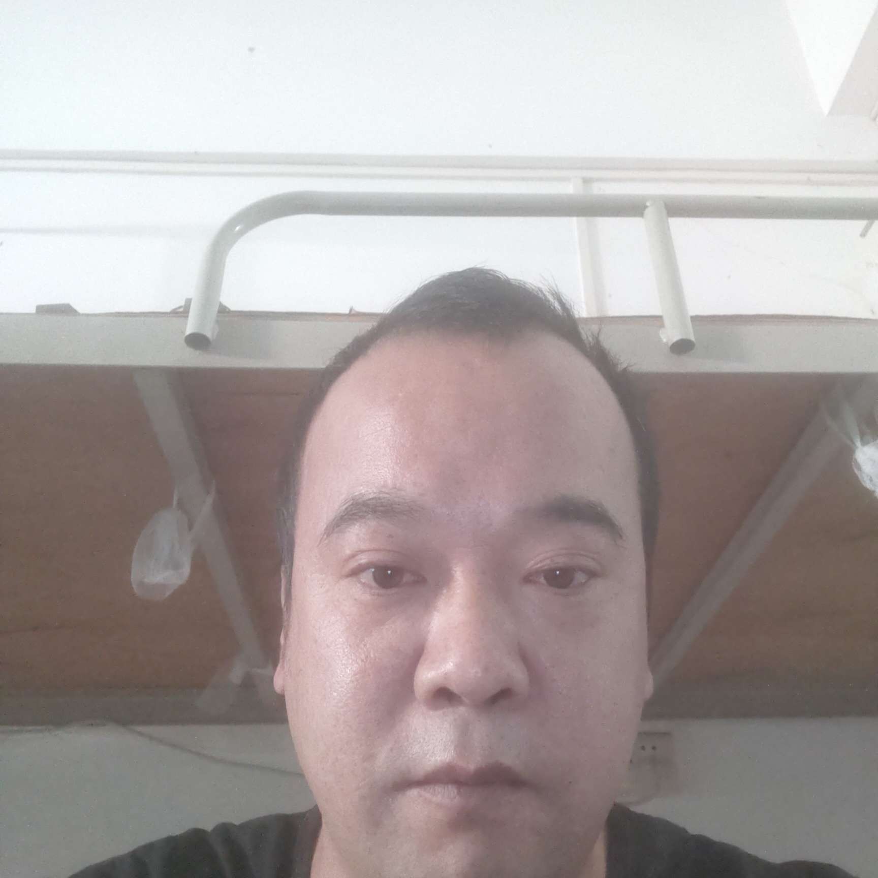 小蚊子:的照片