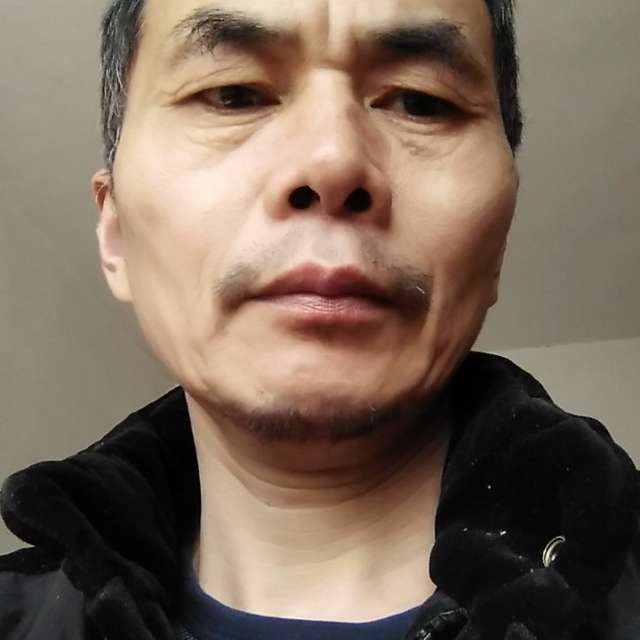 义气还含羞草的照片
