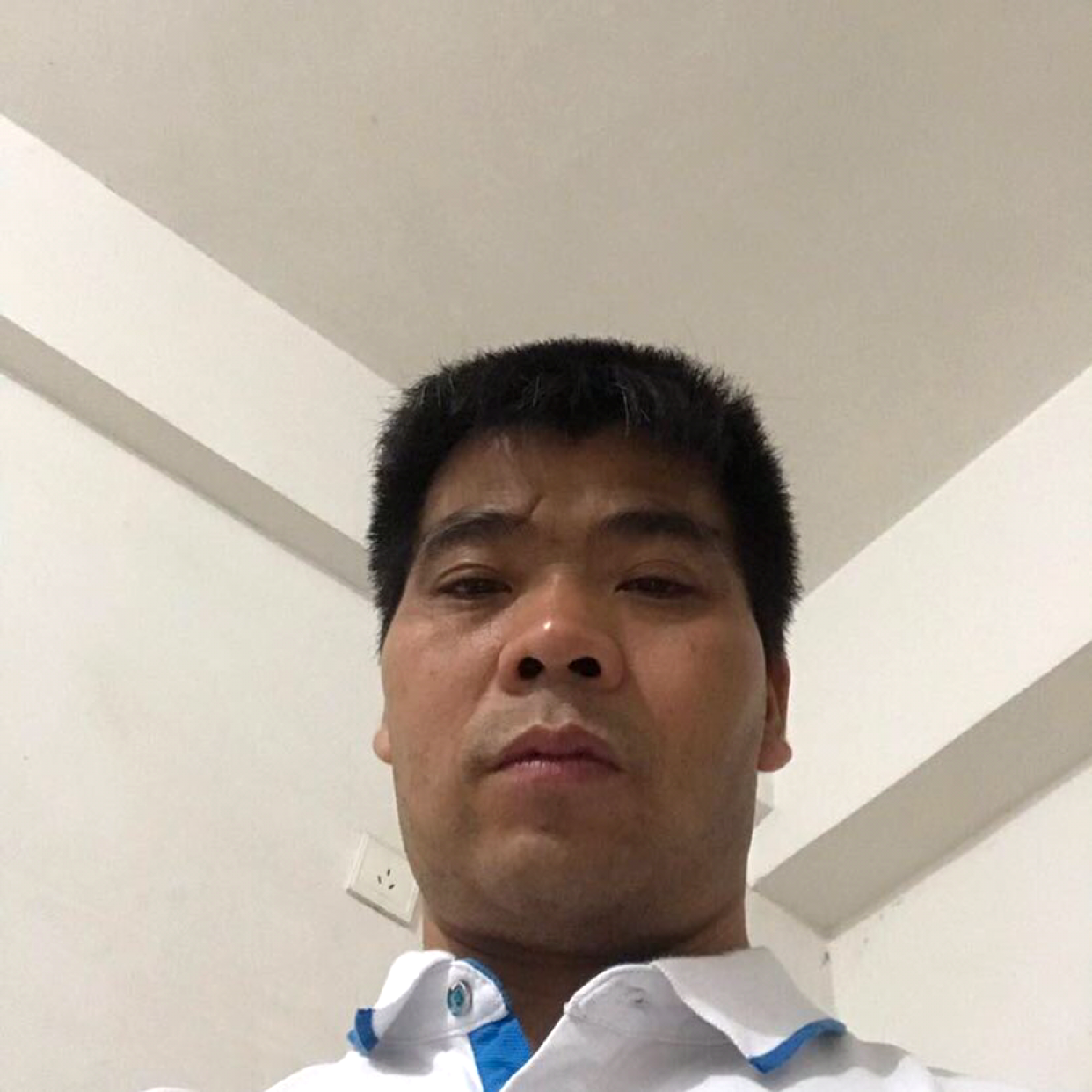 星愿向卡布奇诺的的照片
