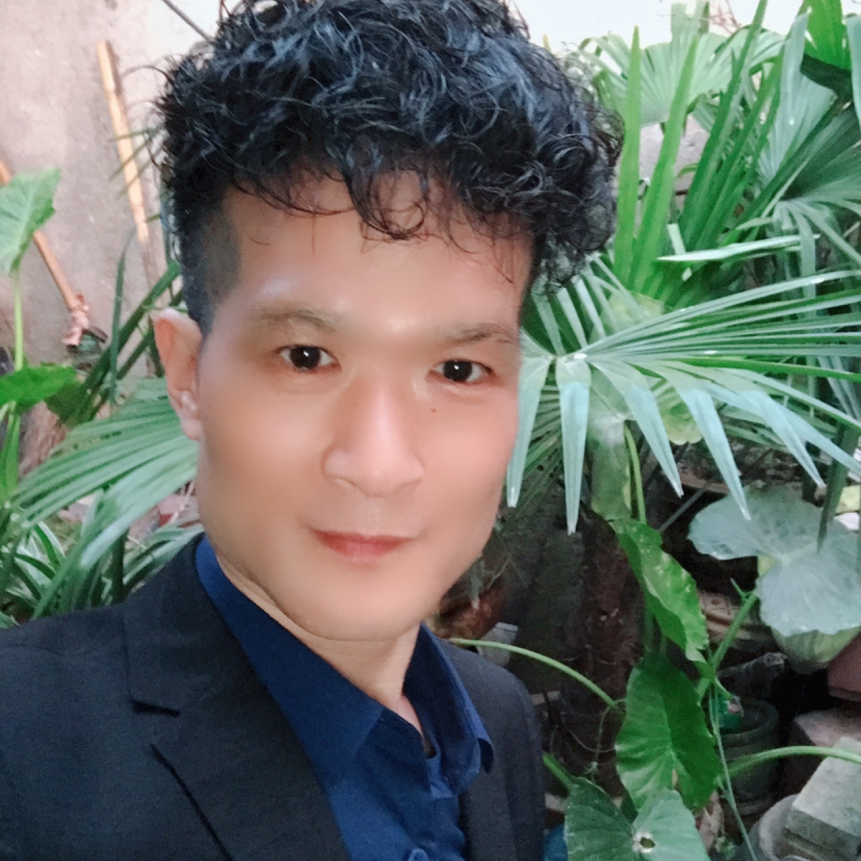 饱满停止含羞草的照片