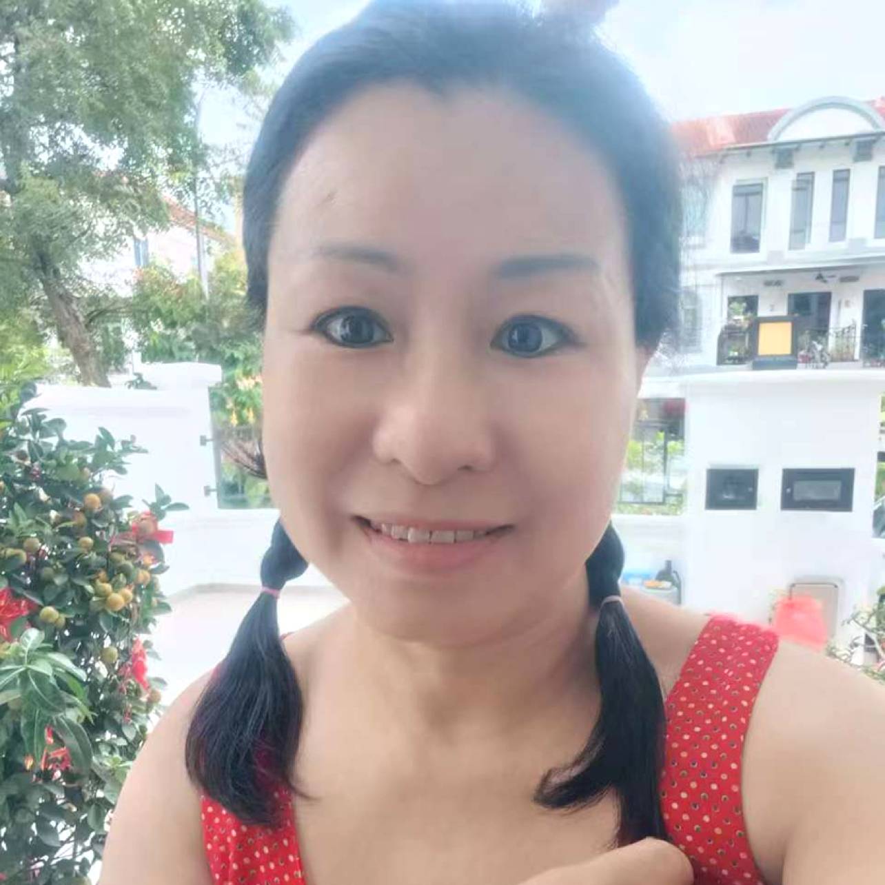 北京苹果的照片