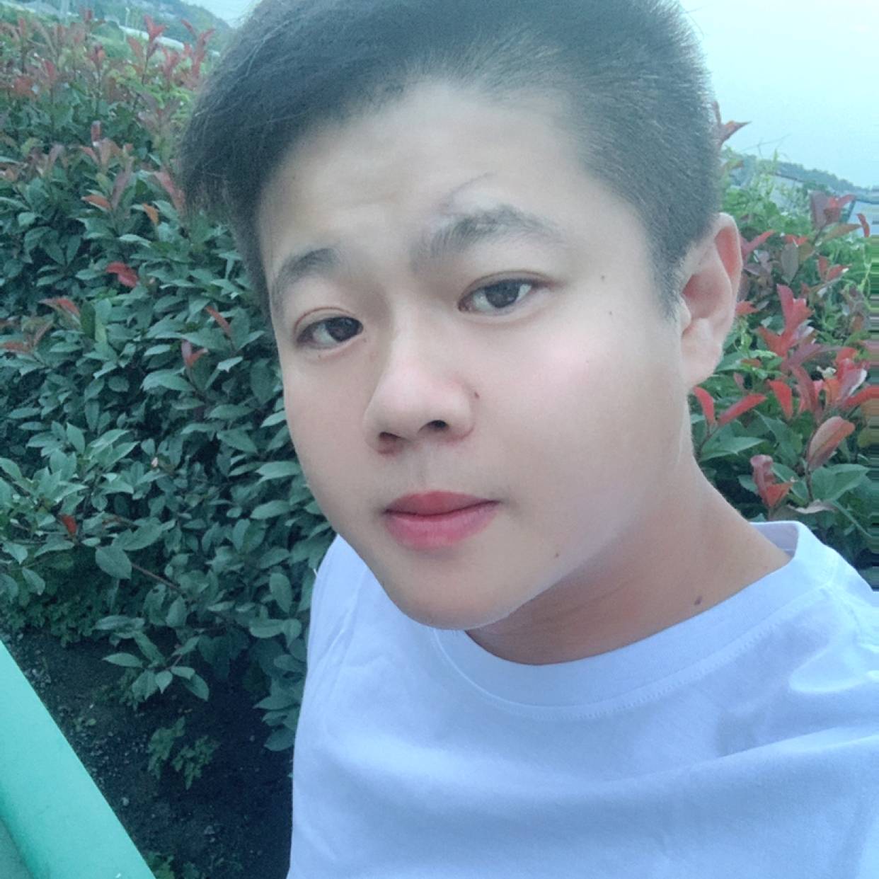 星雨的安宁的照片