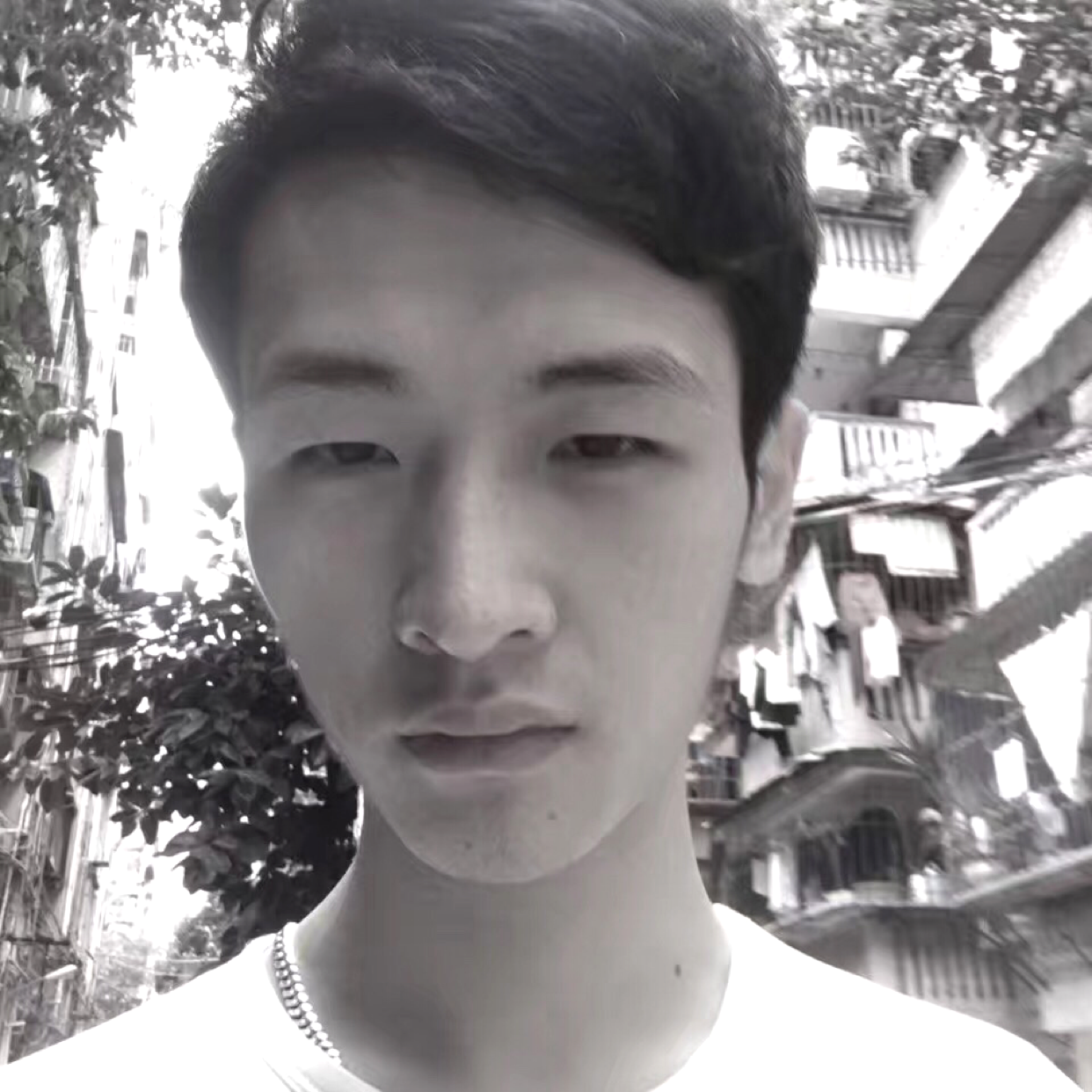 明理拿灰狼的照片