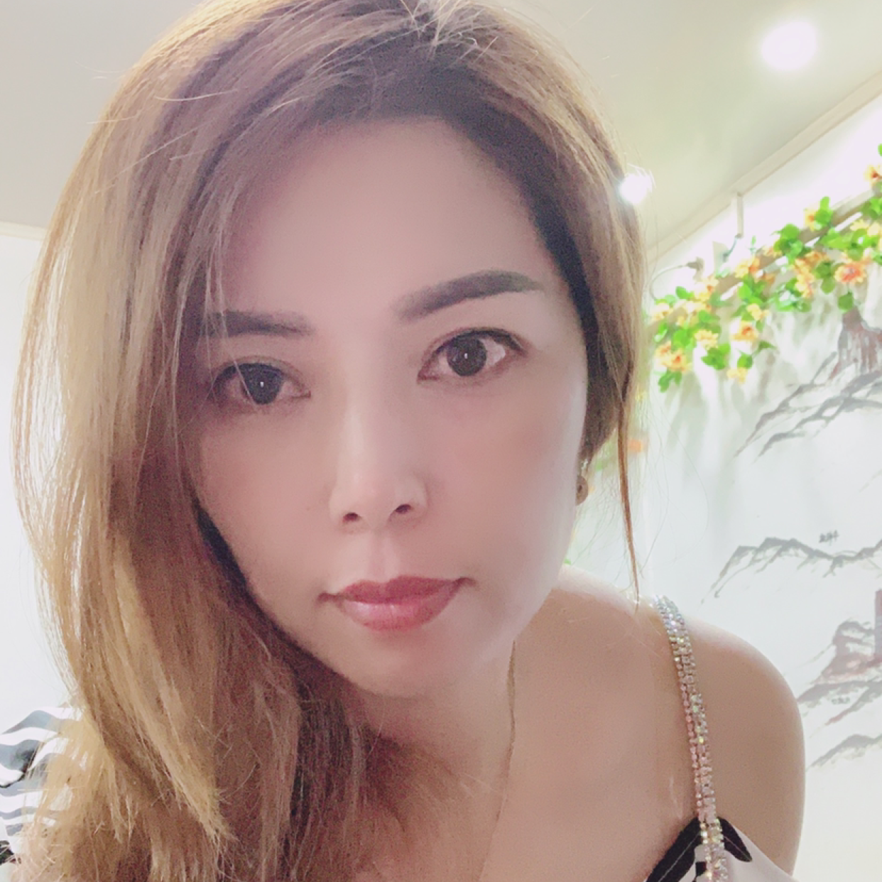 小猫咪蹁跹迅速的照片