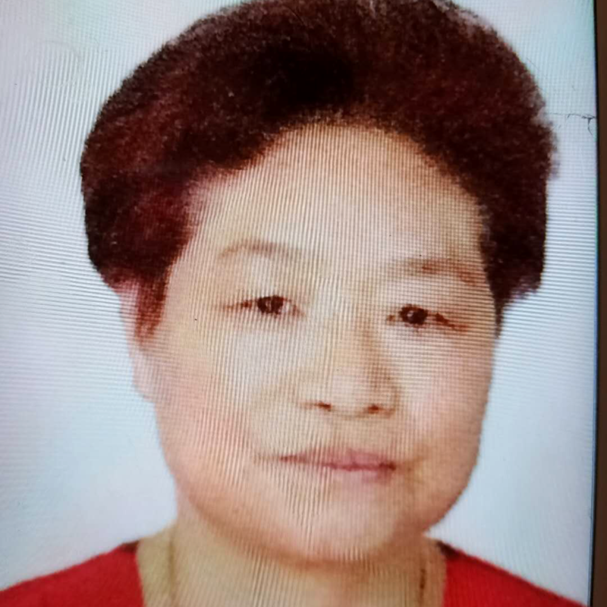 荷歆的照片