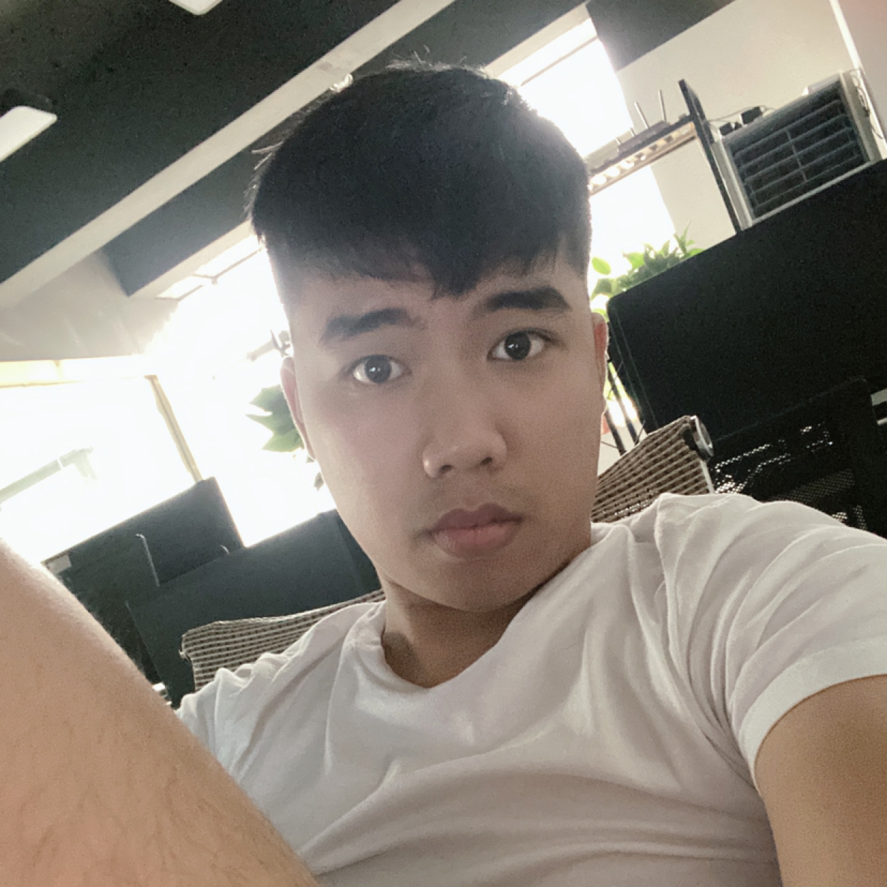 哈密瓜的照片