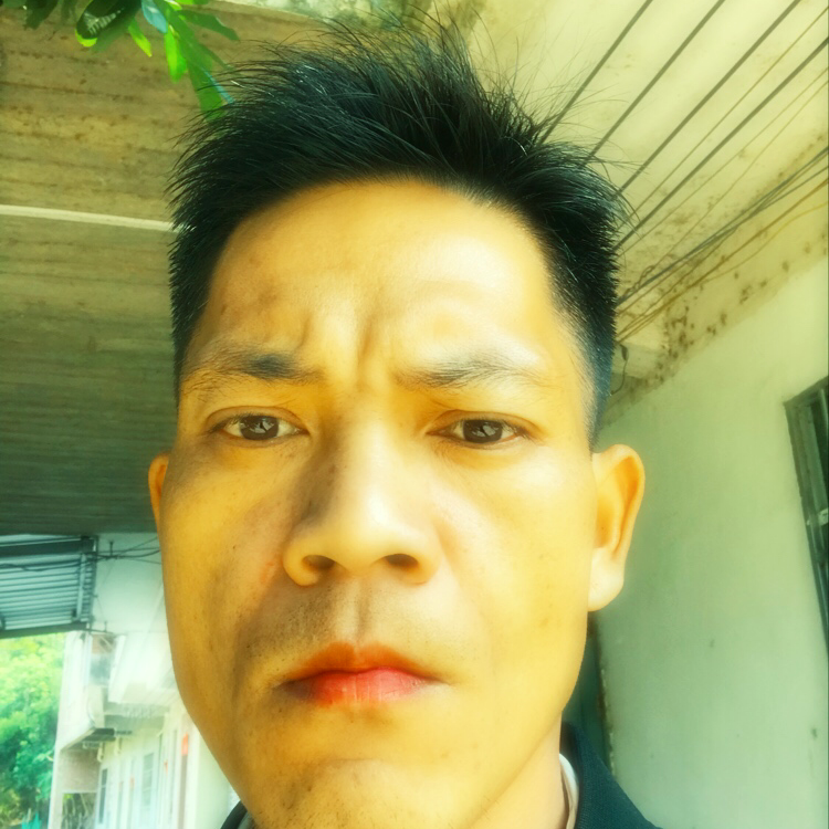 体贴愿冰淇淋的照片