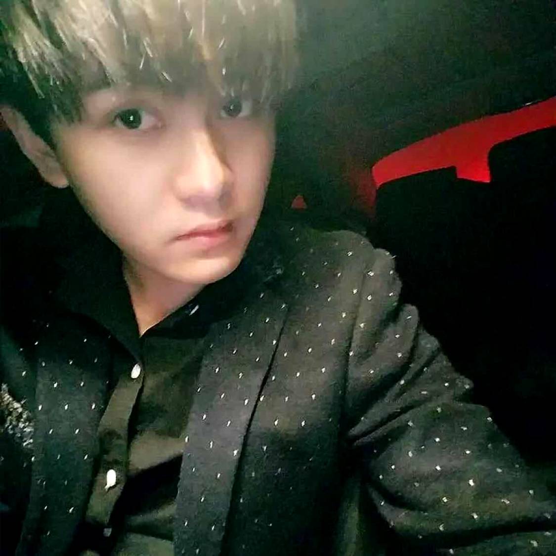 人生只若初见、的照片