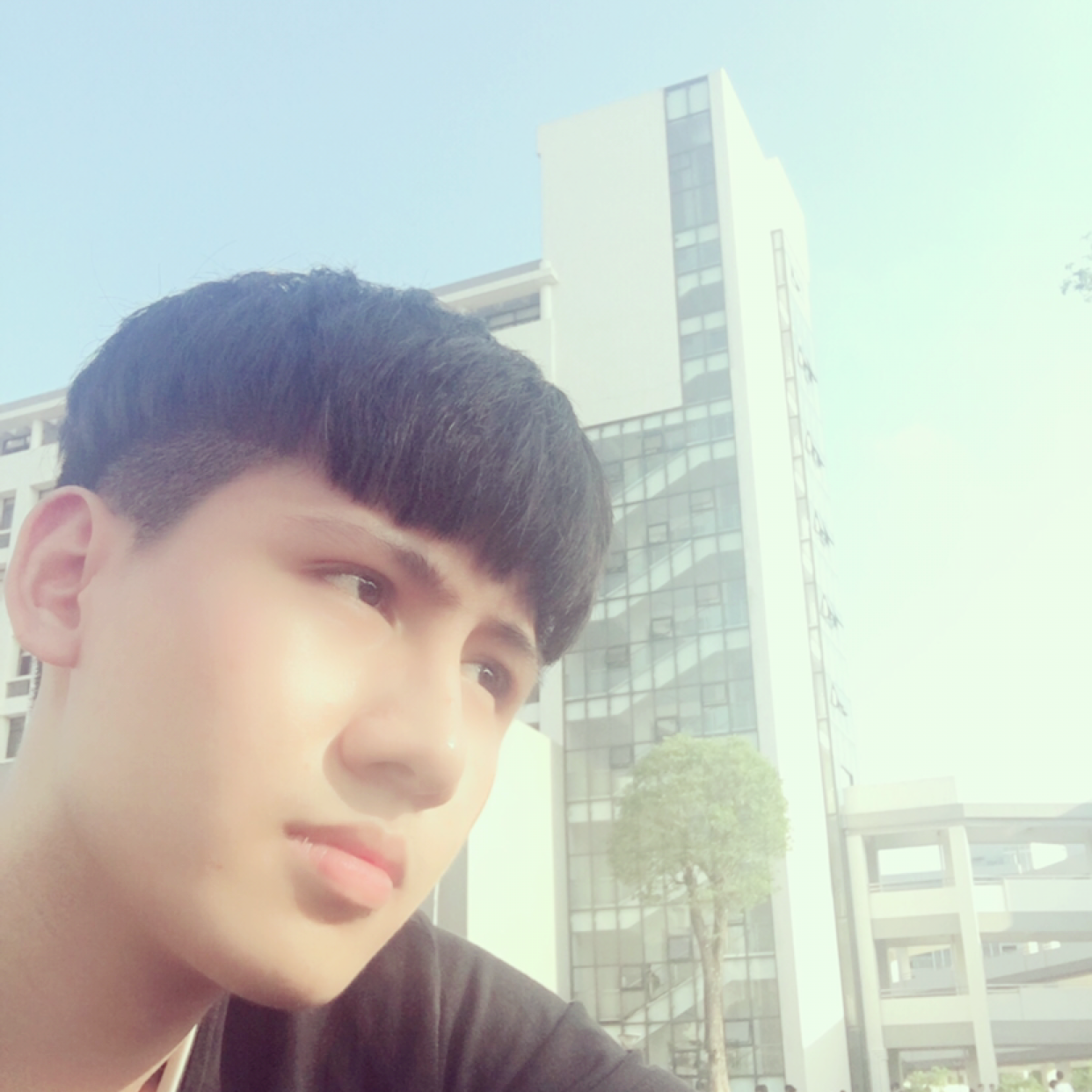 草丛爱恋贪玩的照片