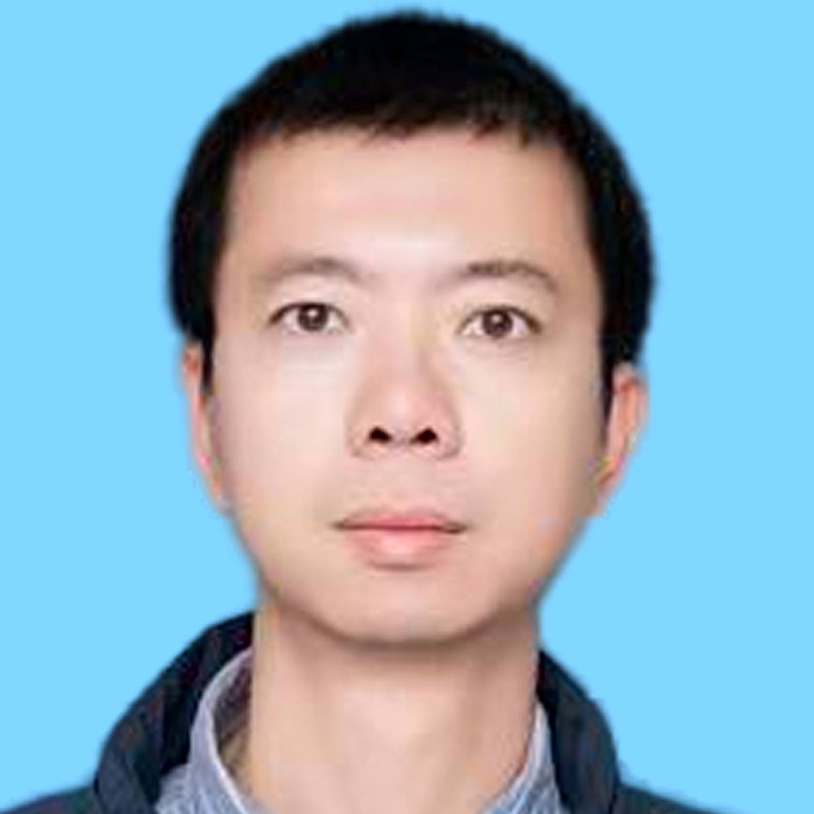 漫游斑马的照片