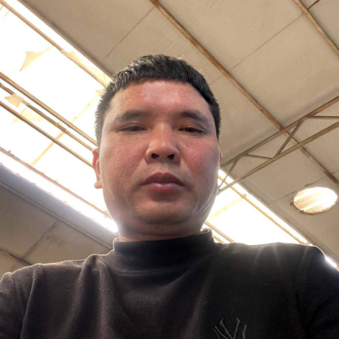 鸵鸟爱紧张的照片