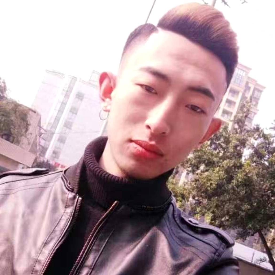生动饼干的照片