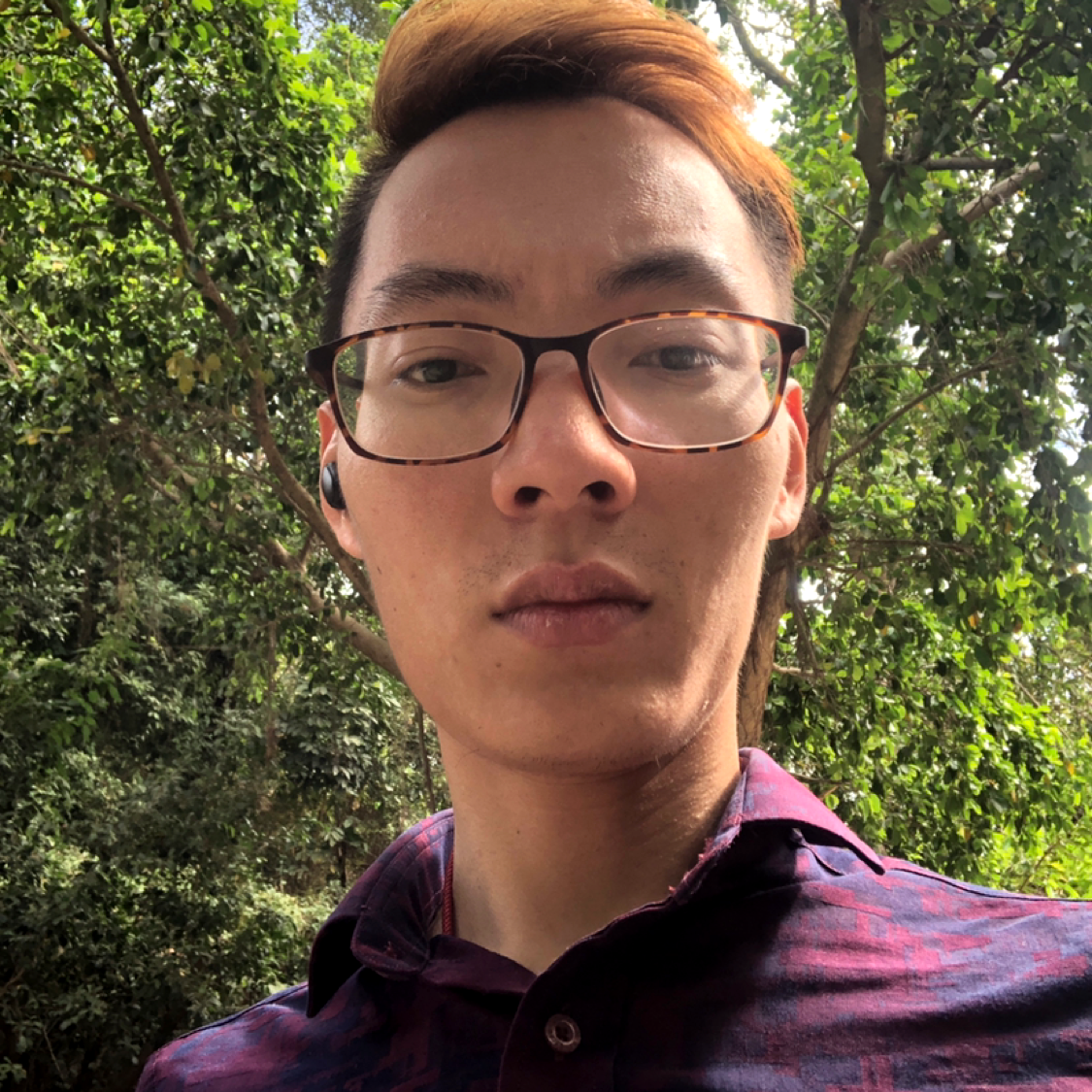 小懒虫向超级的照片