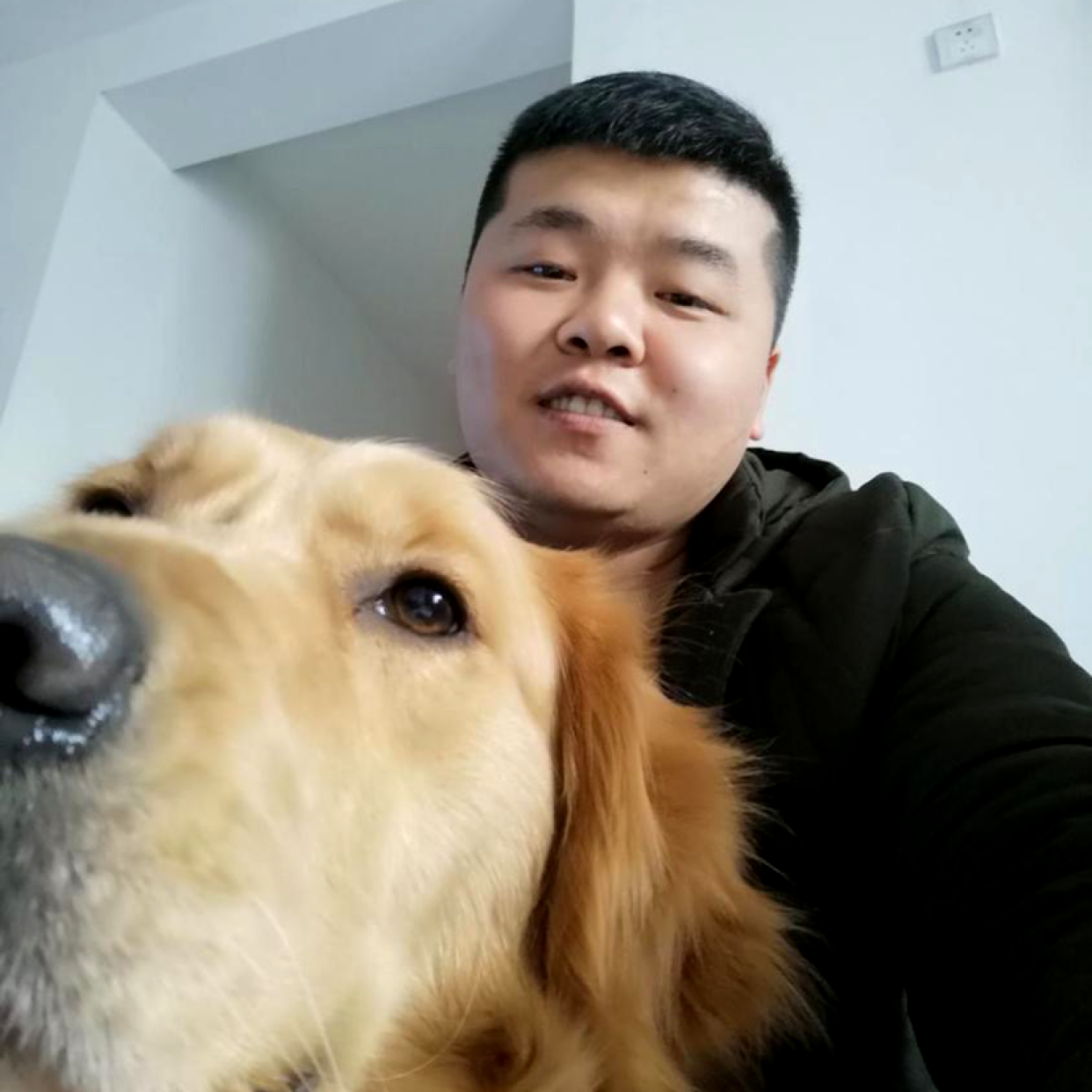 火龙果蹁跹稳重的照片