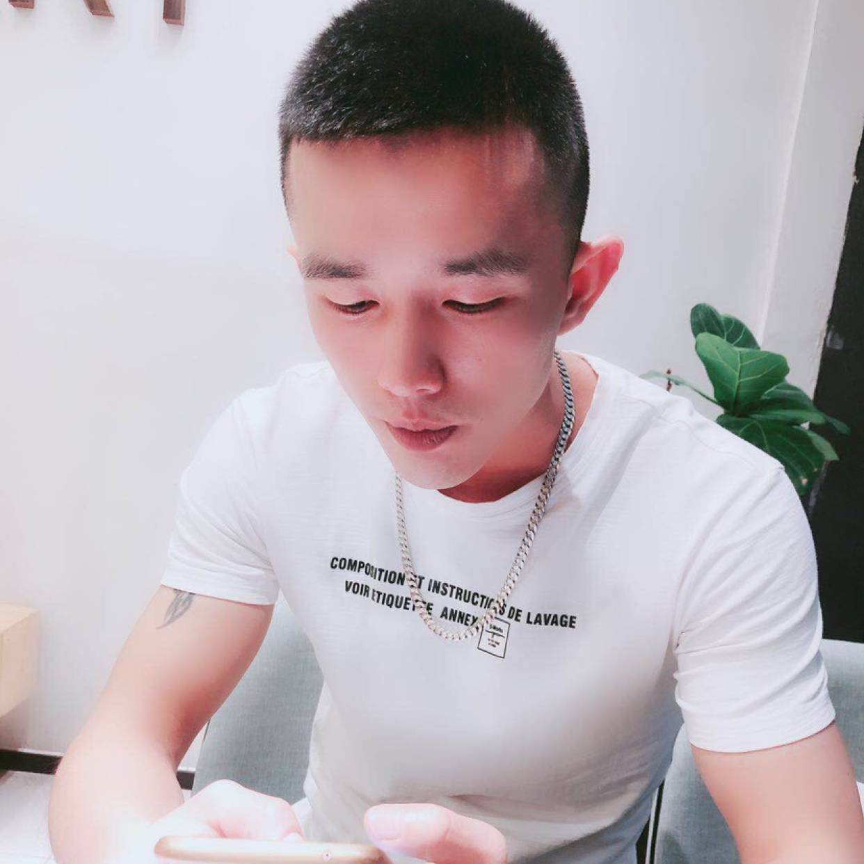 星星回首优雅的照片