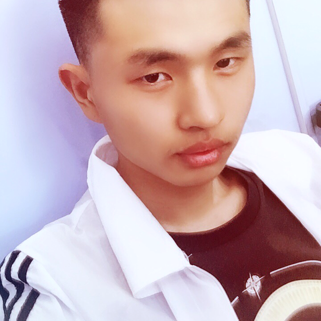 含蓄等于茉莉的照片