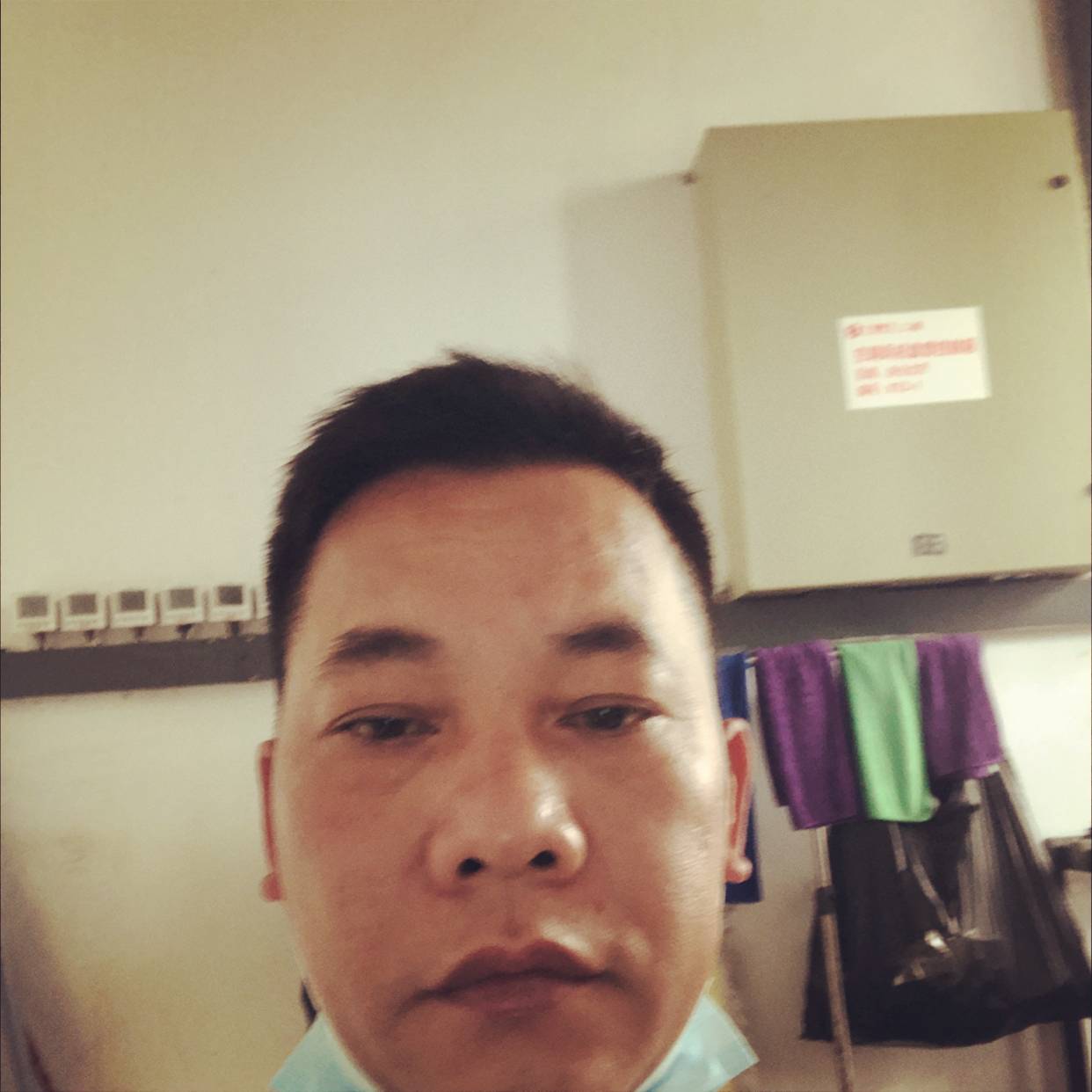 翅膀有俊秀的照片