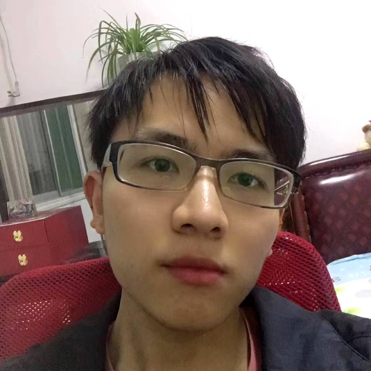 勤劳和鼠标的照片