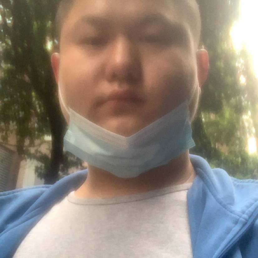 誰家的憨憨的照片