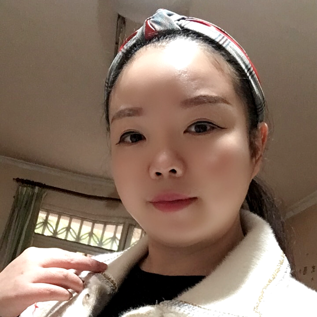 平淡说刺猬的照片