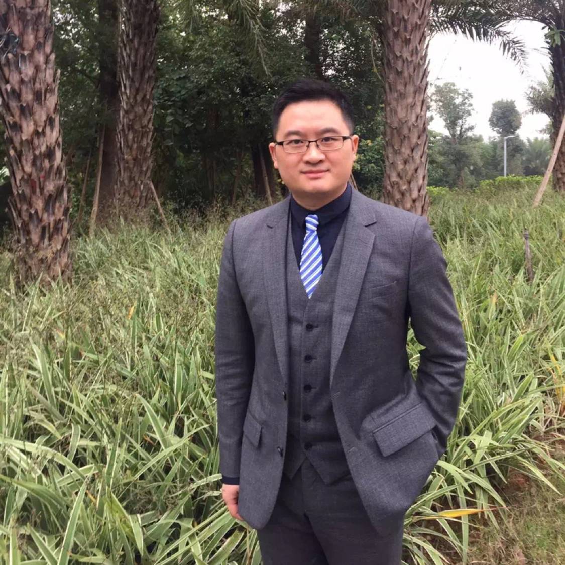 燕归来兮的照片