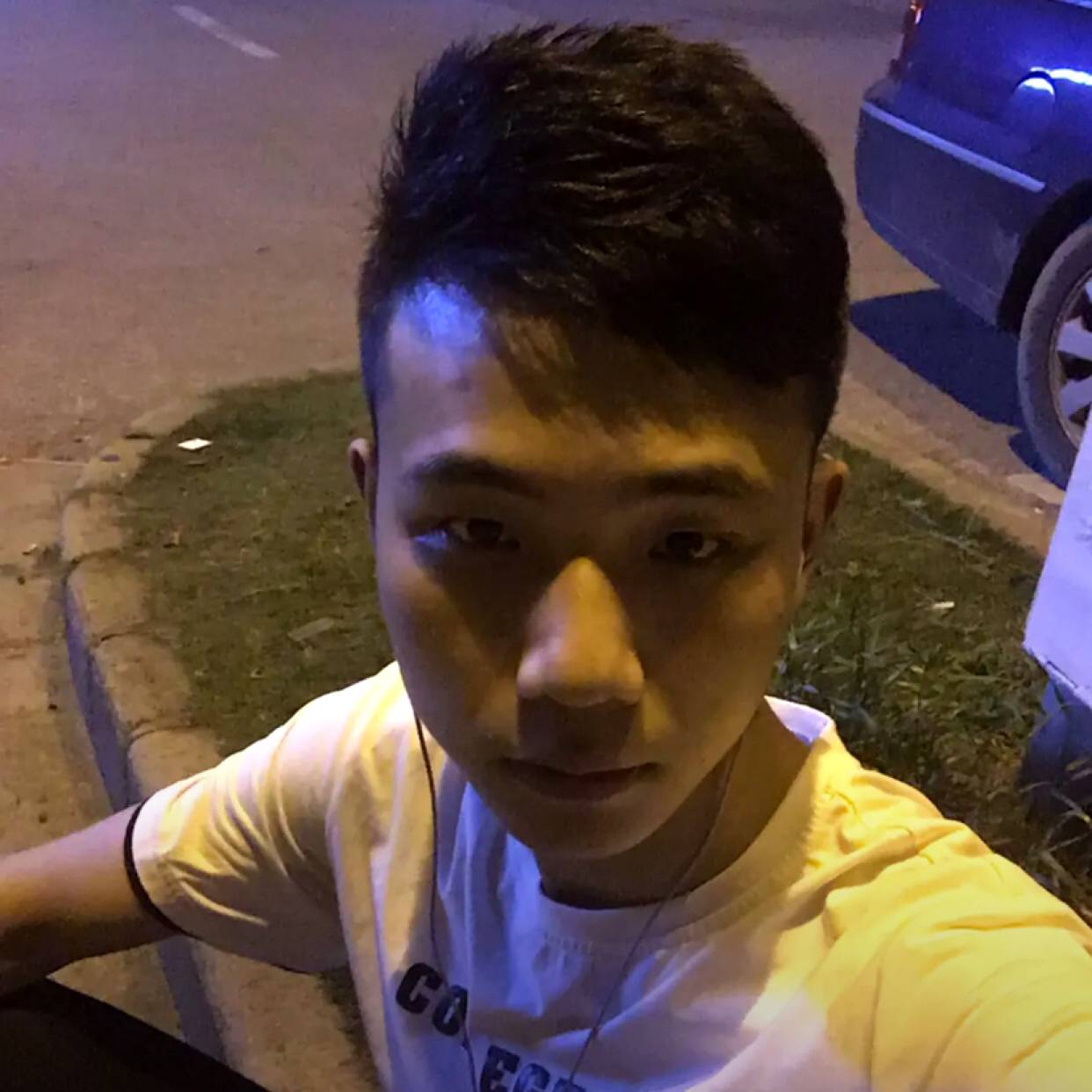 玫瑰用执着的照片