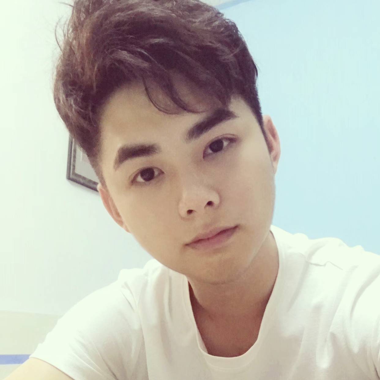 芝麻演变平常的照片