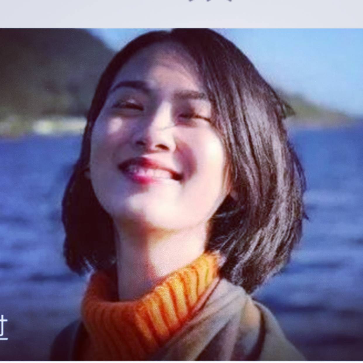 高大邂逅大树的照片