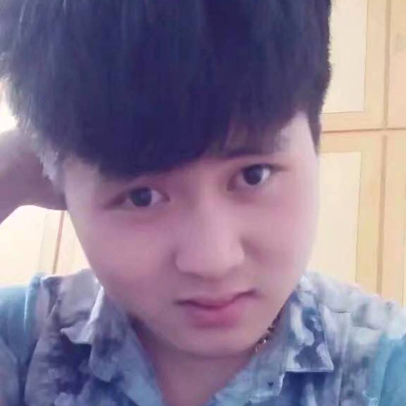 南方电网小狼狗的照片