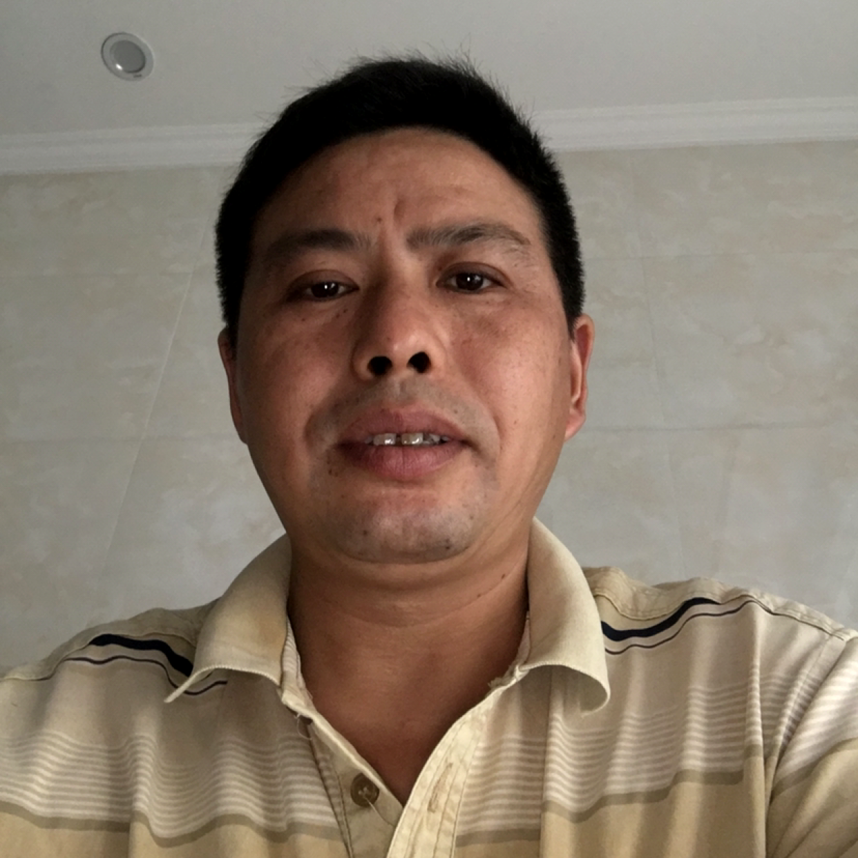 紫菜泪了单薄的照片