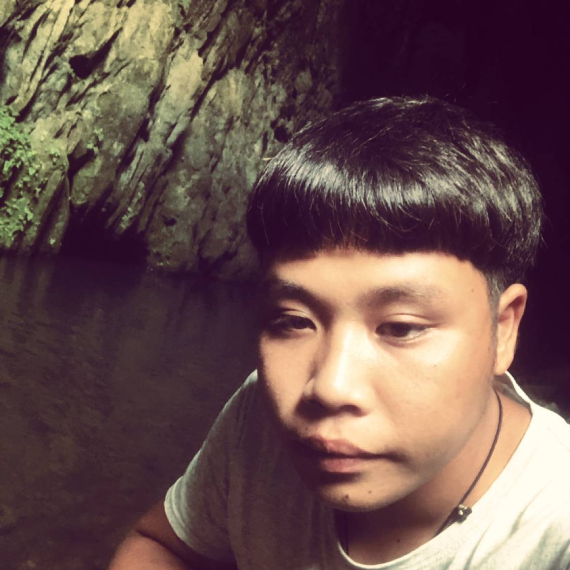 绵羊般的蚂蚁的照片