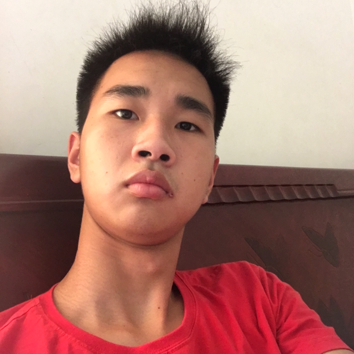雷鸿的照片