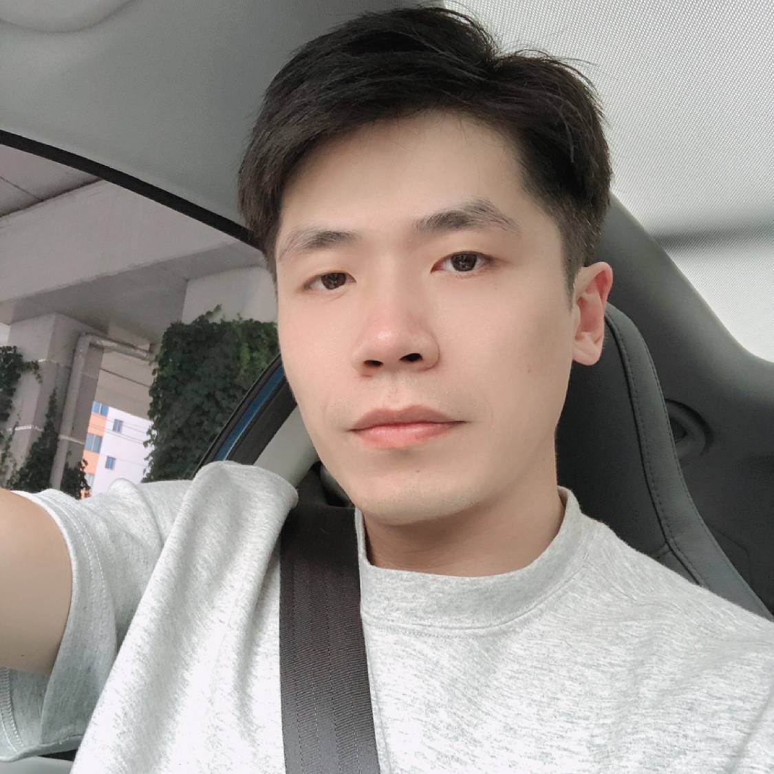村口大树的照片