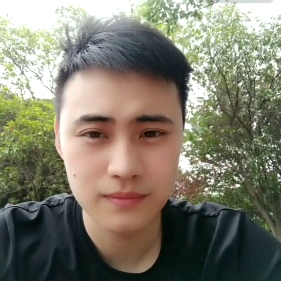 流沙的执着的照片