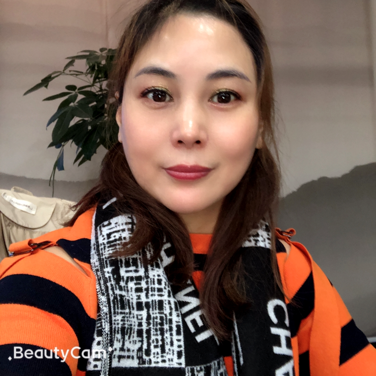 甜甜蹁跹飞鸟的照片
