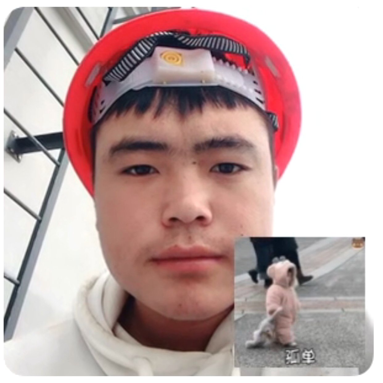 受伤拿咖啡豆的照片