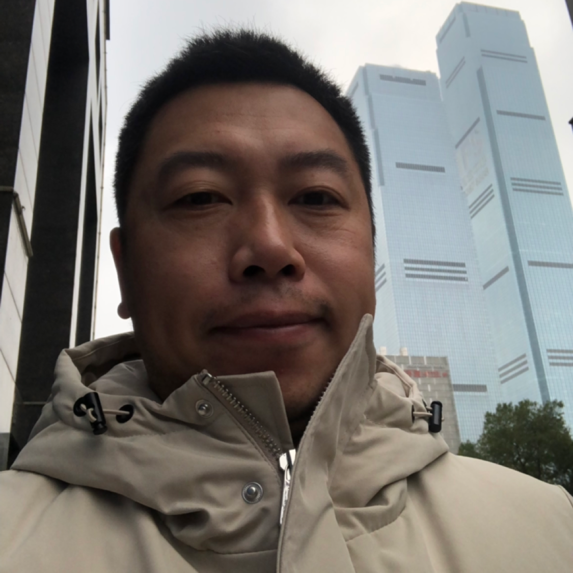 红掌拨清波的照片