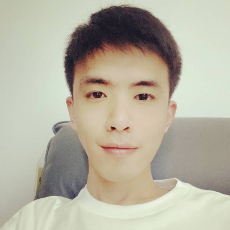 牛油果的照片
