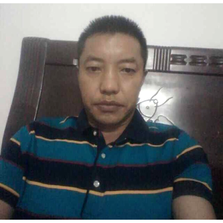 知性拾忆白猫的照片
