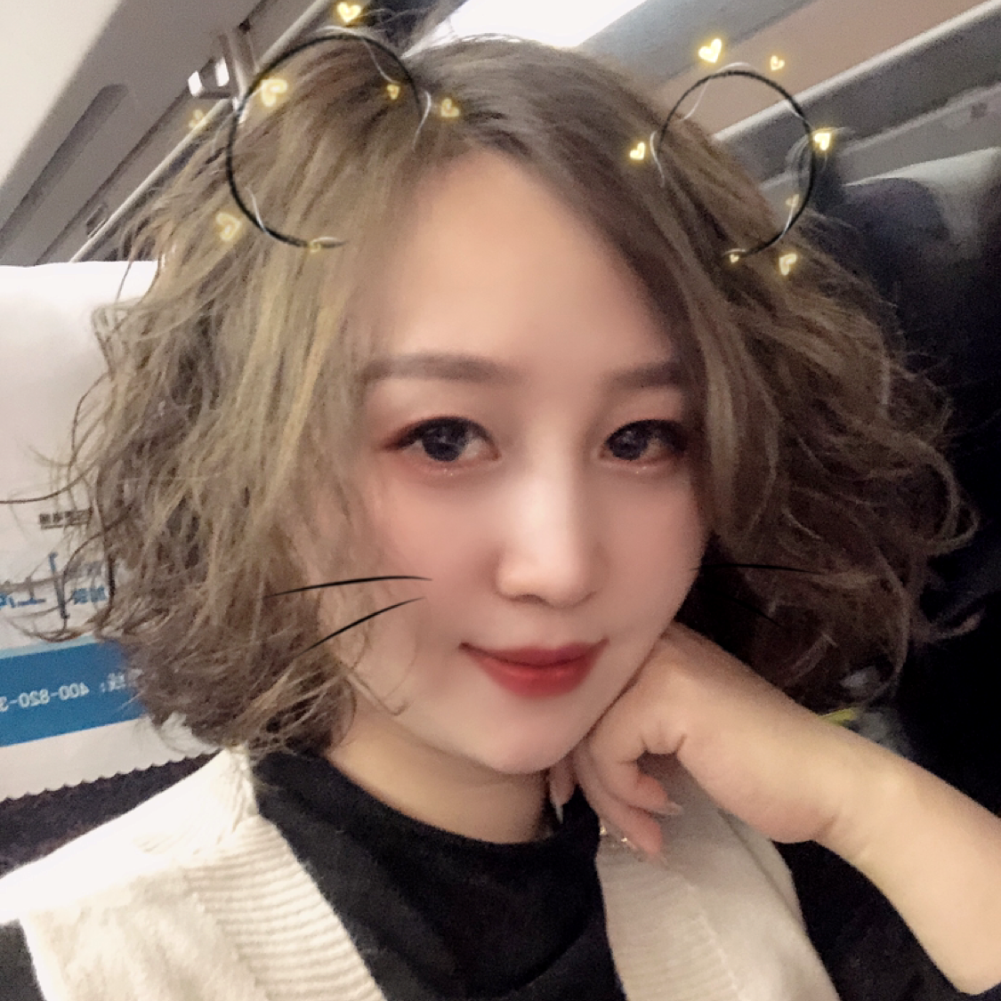 欢喜演变西牛的照片