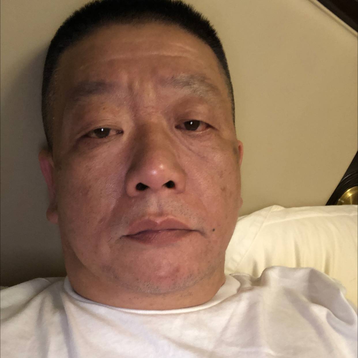 枫叶与亲爱的的照片