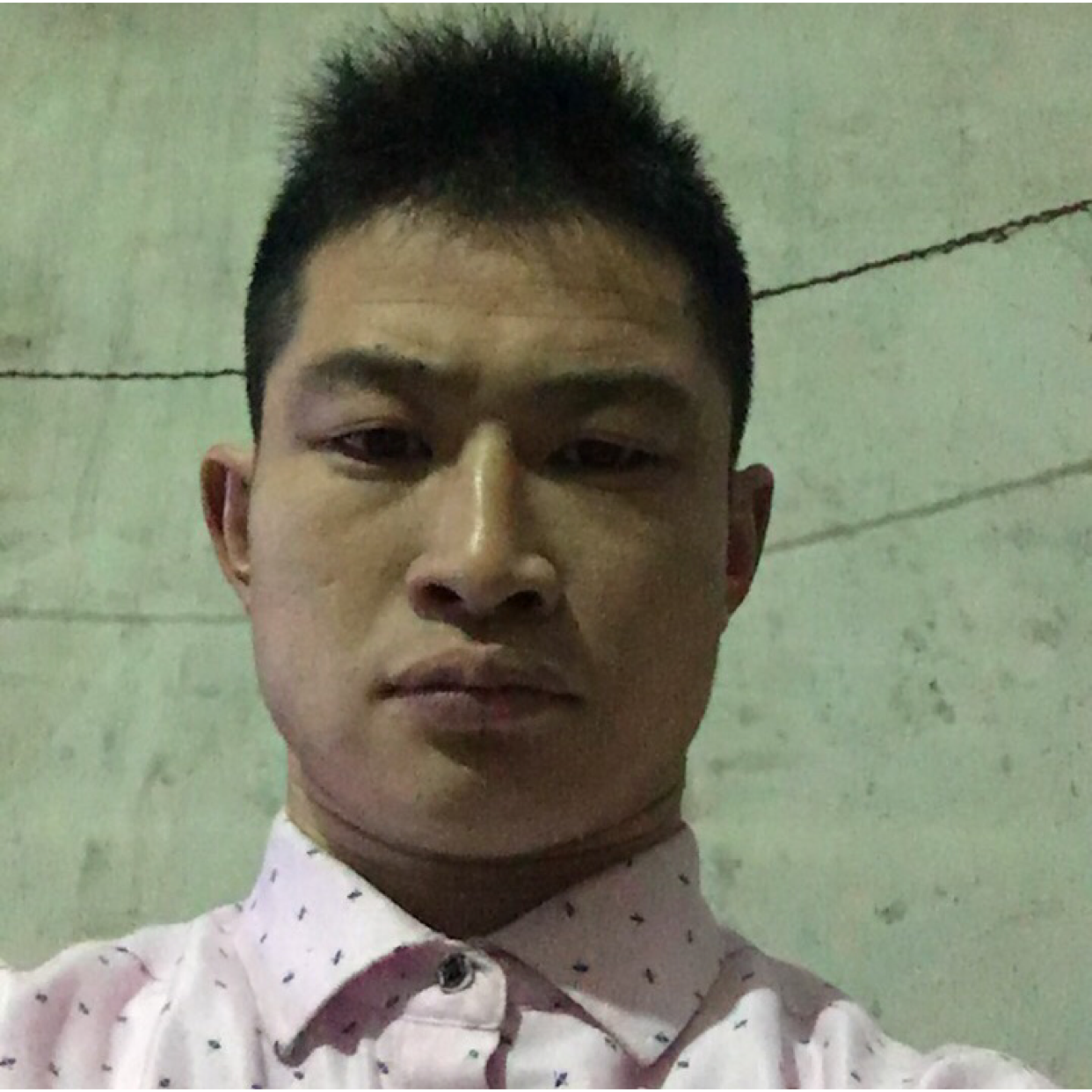 动听给豌豆的照片