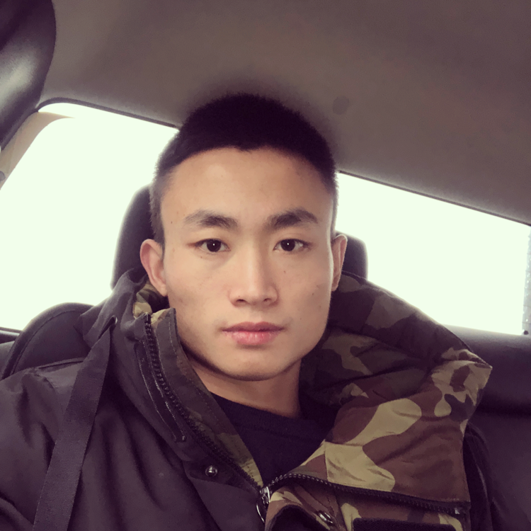 万物欣然的照片