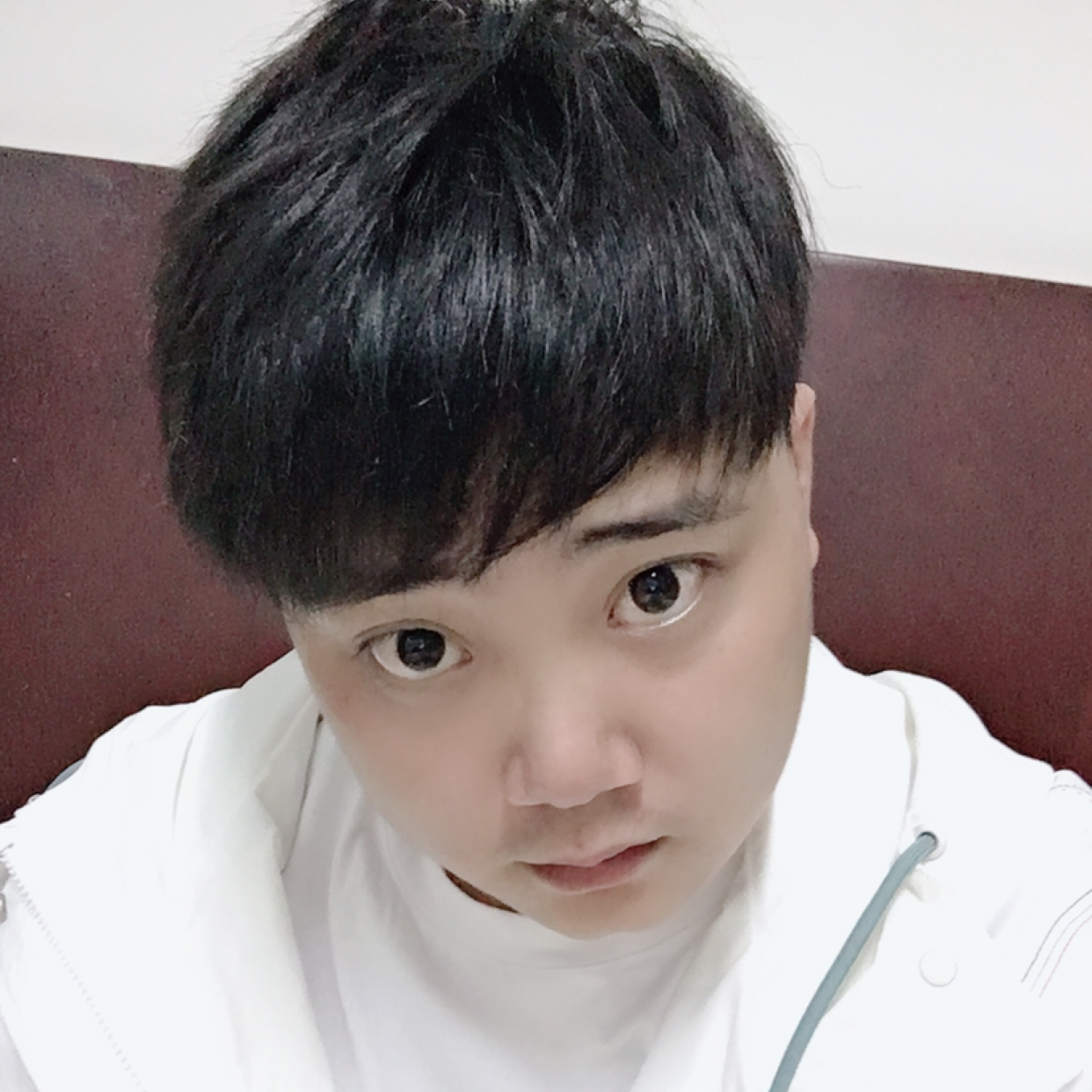 纸鹤与懦弱的照片