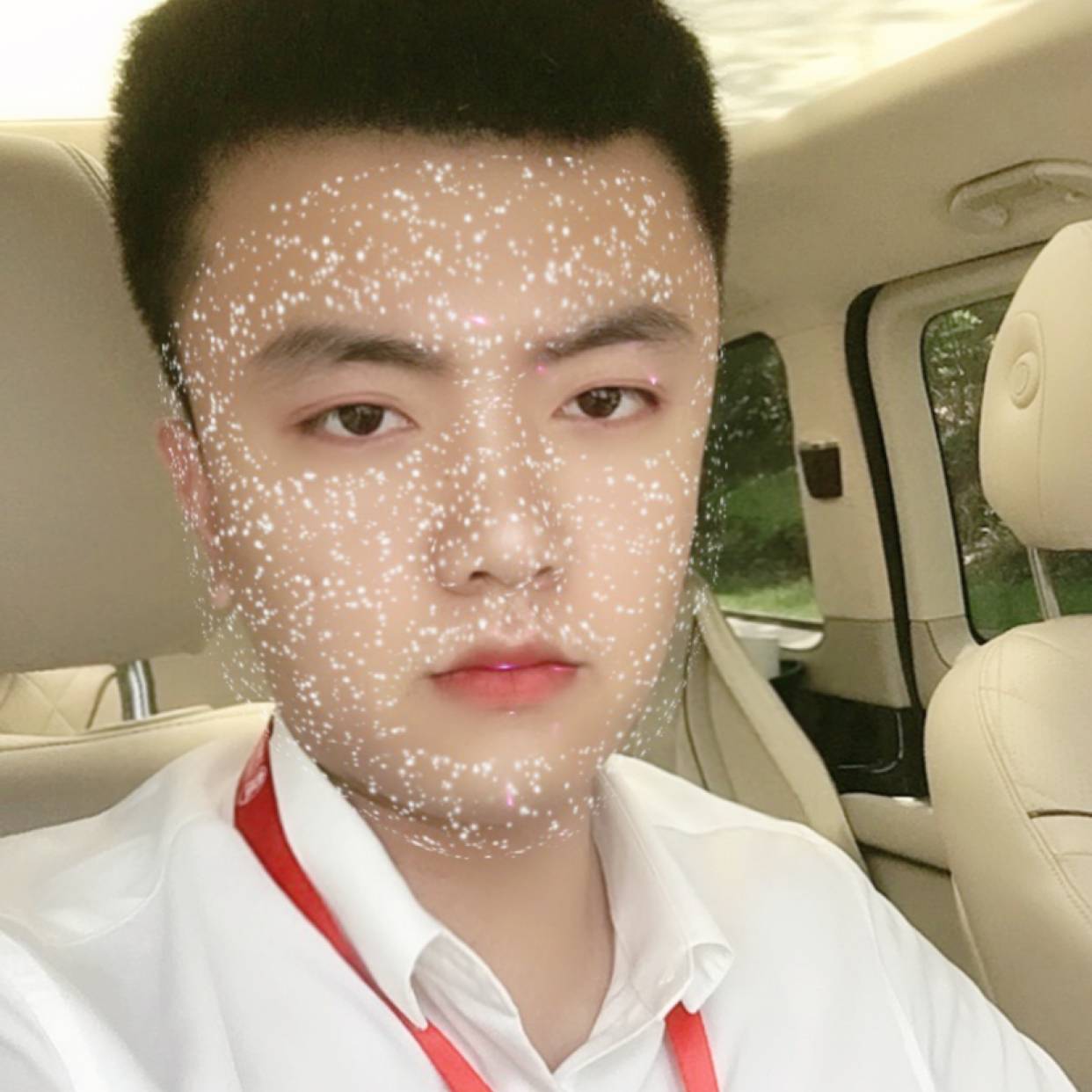 碧影等待舒适的照片