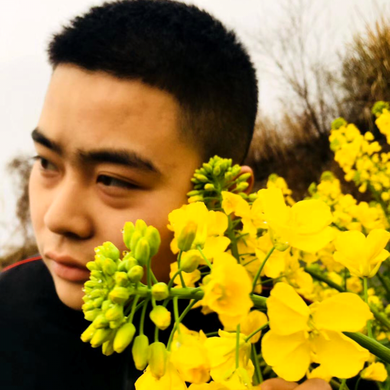 一杆油的照片