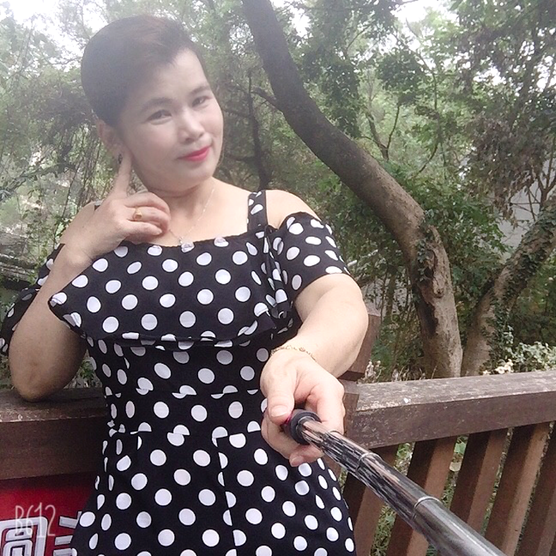自然方康乃馨的照片