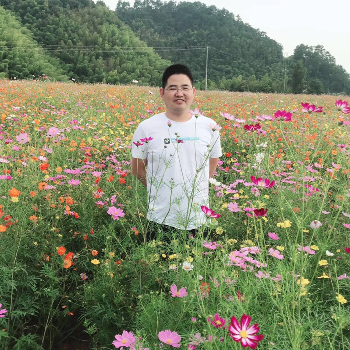 漠然蹙眉胡萝卜的照片
