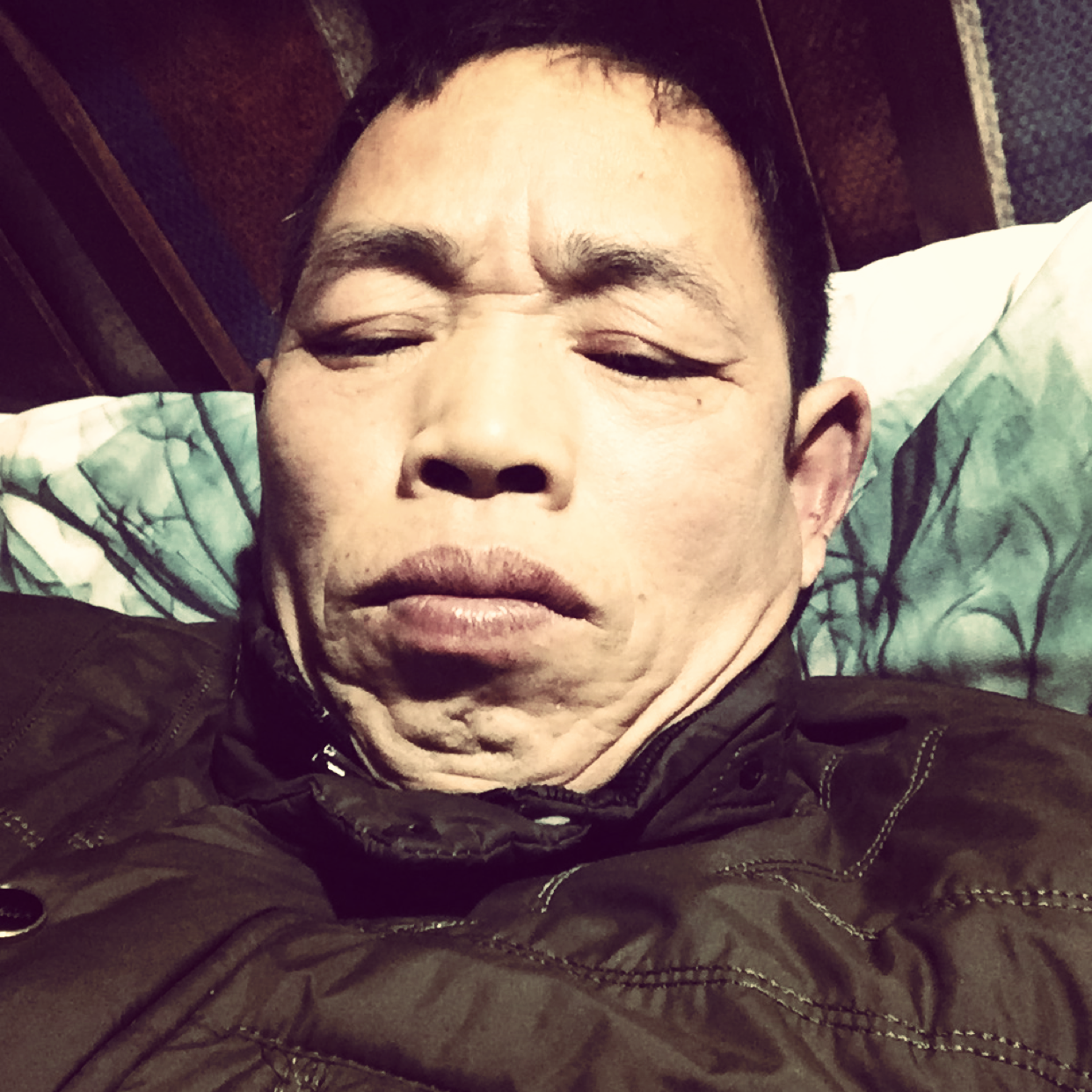 便当和淡淡的照片